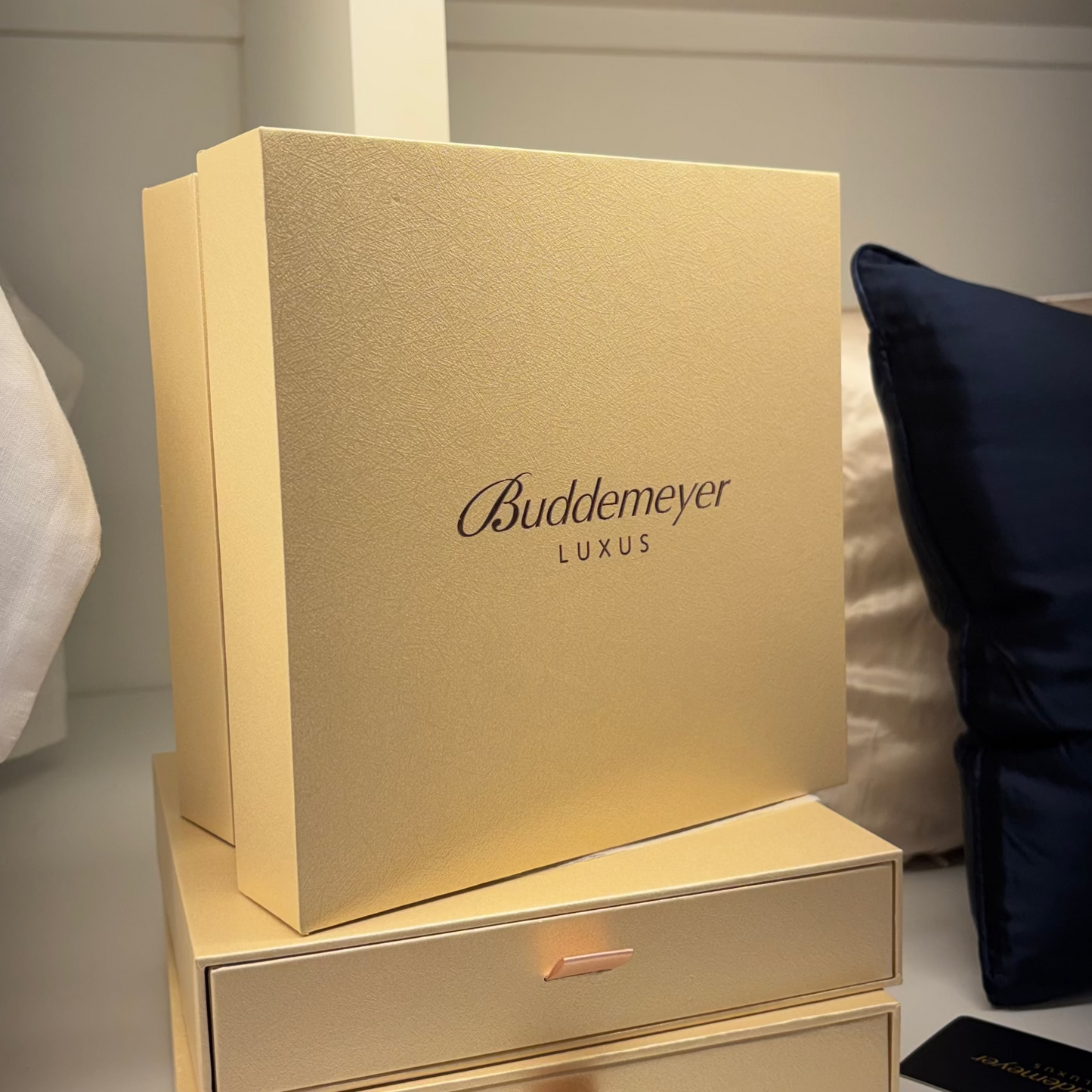 Fronha Buddemeyer Luxus Royale 100% Seda Off White 50x70cm